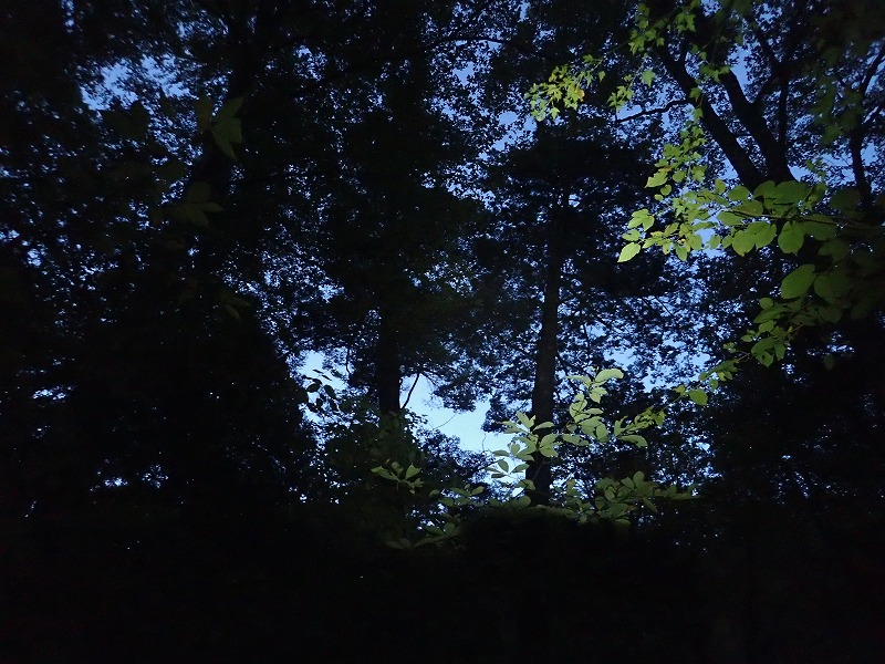 e0284726_212815100.jpg