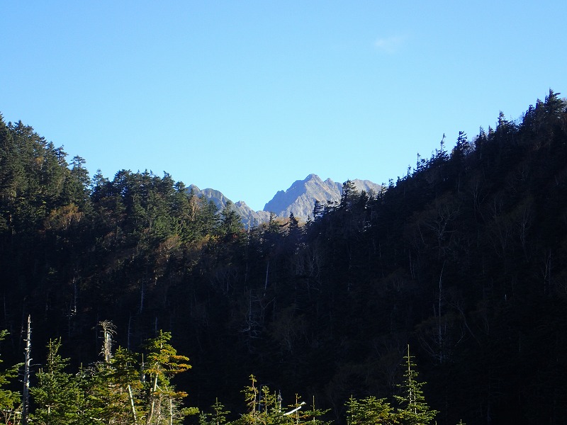 e0284726_21315245.jpg