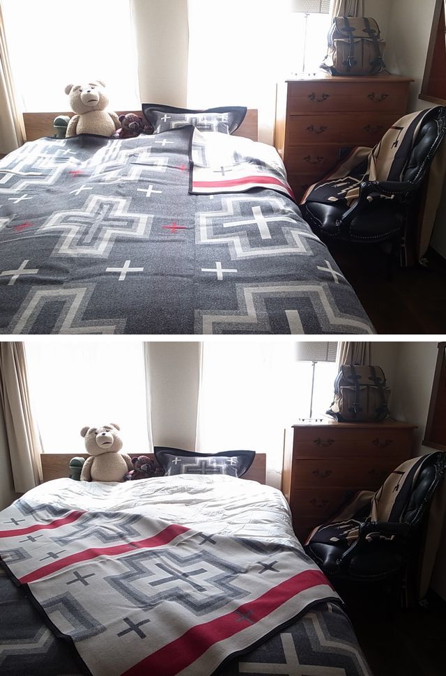 PENDLETON BLANKET & STANDARD SHAM_a0122933_18280877.jpg