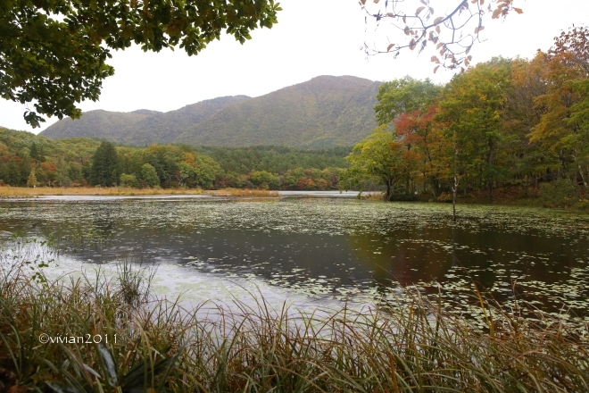 10月の写真クラブの撮影会　～福島県・紅葉の観音沼2016～_e0227942_21163423.jpg