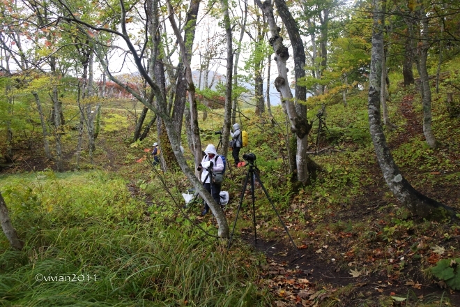 10月の写真クラブの撮影会　～福島県・紅葉の観音沼2016～_e0227942_21191755.jpg