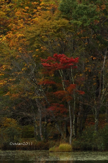 10月の写真クラブの撮影会　～福島県・紅葉の観音沼2016～_e0227942_21392810.jpg