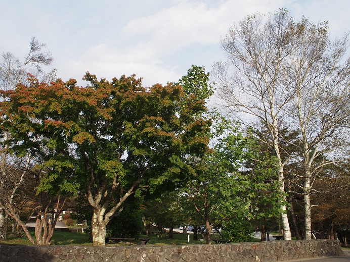 c0156345_10425841.jpg