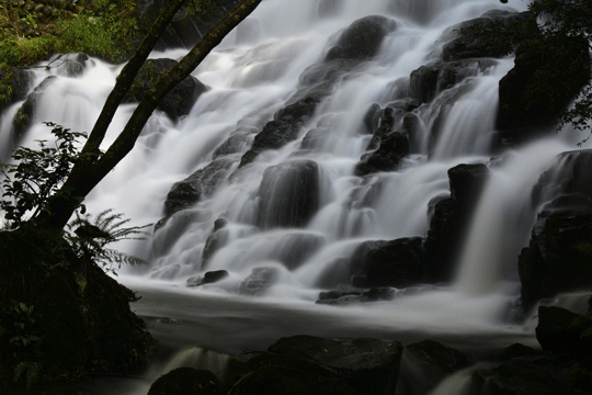 c0093046_883287.gif