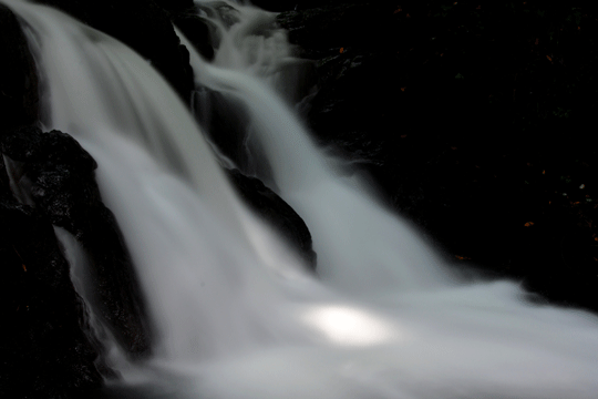 c0093046_885527.gif