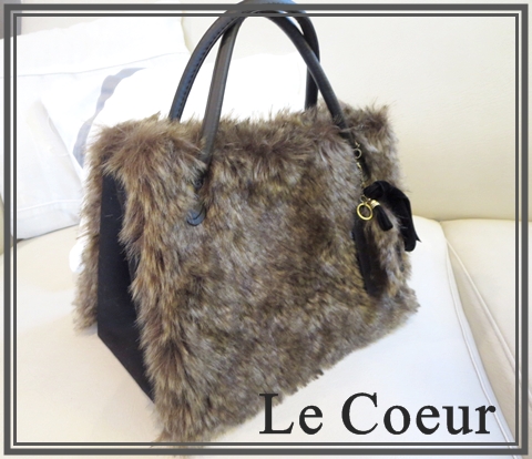 自宅レッスン ペンケース&ポーチ ノートカバー ファーBAG_f0305451_17403697.jpg