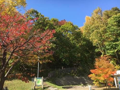 藻岩山紅葉登山_e0326953_10315609.jpg