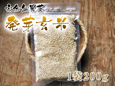無農薬の『雑穀米』、『発芽玄米』 命のみなぎる「美味しいお米」の稲刈りの様子_a0254656_202992.jpg