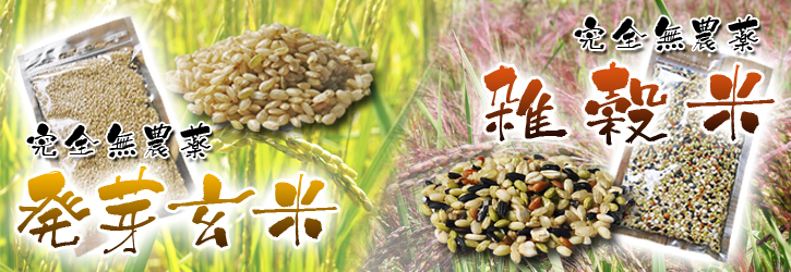 無農薬の『雑穀米』、『発芽玄米』　命のみなぎる「美味しいお米」の稲刈りの様子_a0254656_2094671.jpg
