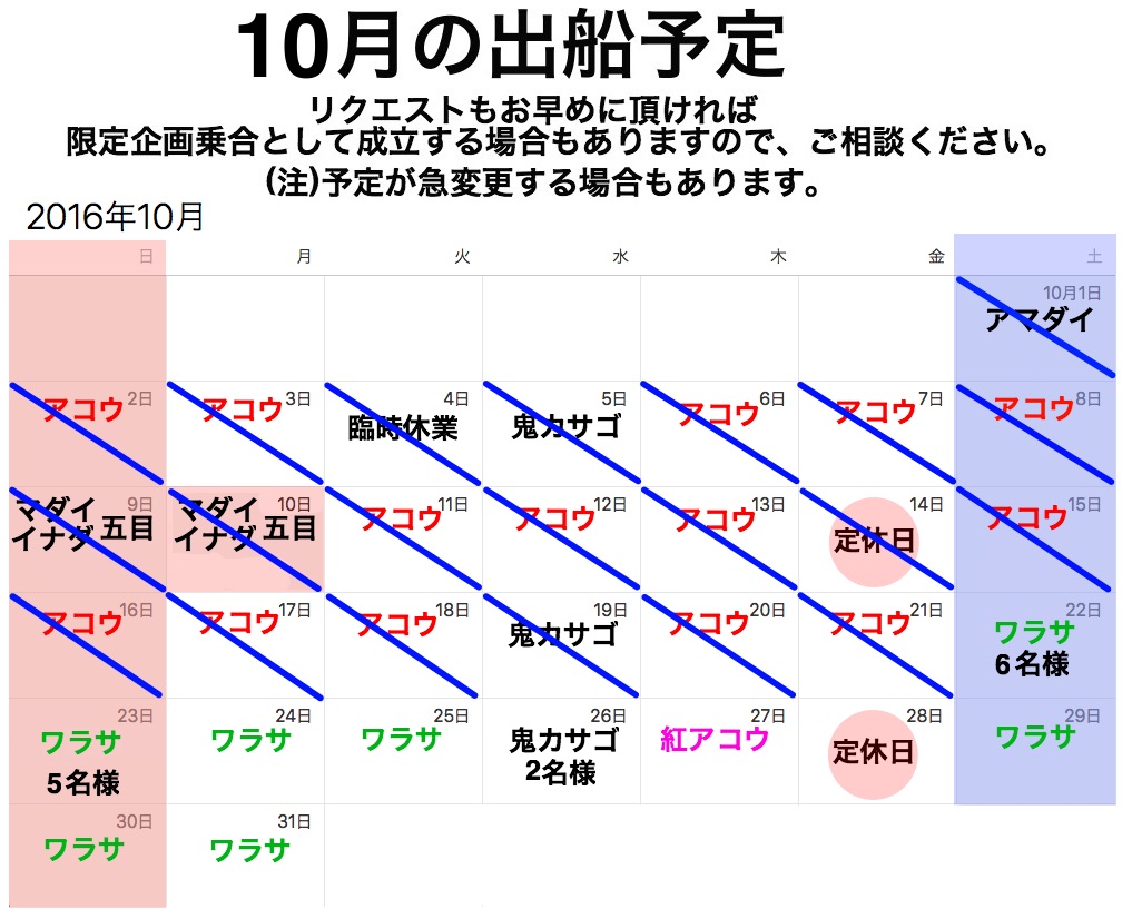 明日22(土）からワラサ開始です_f0214557_1012996.jpg