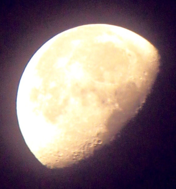 a0248459_15512121.jpg