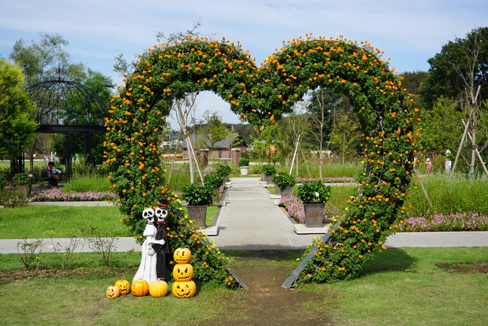 ふなばしアンデルセン公園へ　3_d0152261_21514250.jpg