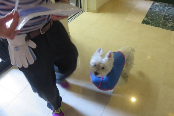 佐川急便のお姉さん_b0107163_00285461.jpg