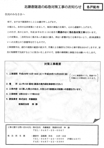 緑の洞門の応急対策工事に「崩落」ではなく「はく落」の表現_c0014967_17495016.jpg