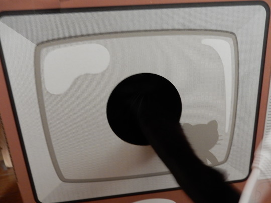 ブラウン管テレビ型爪とぎ_e0355177_16424852.jpg