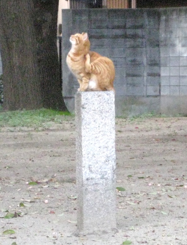 b0057679_849301.jpg