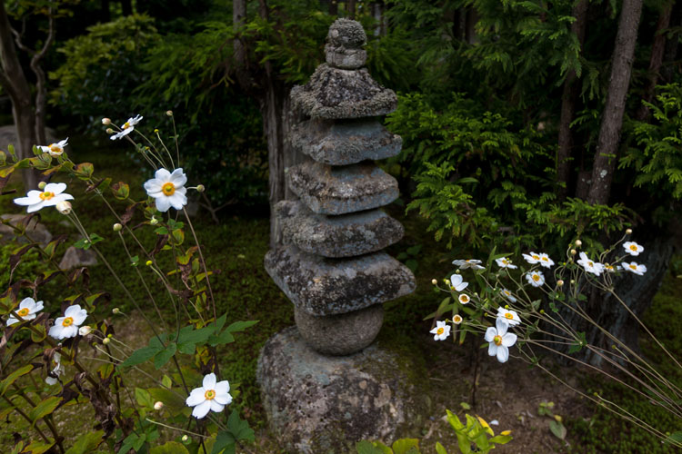 実光院_e0051888_2352434.jpg