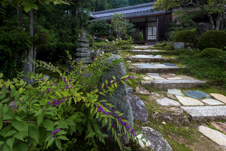 実光院_e0051888_2353486.jpg
