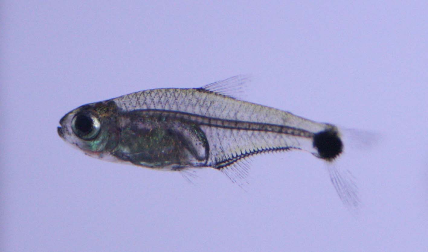 c0165800_17315271.jpg