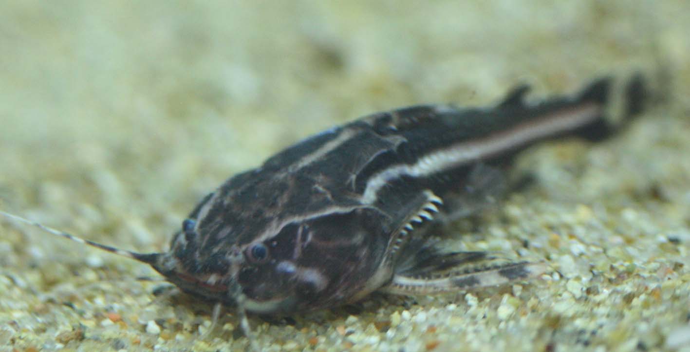 c0165800_1741960.jpg
