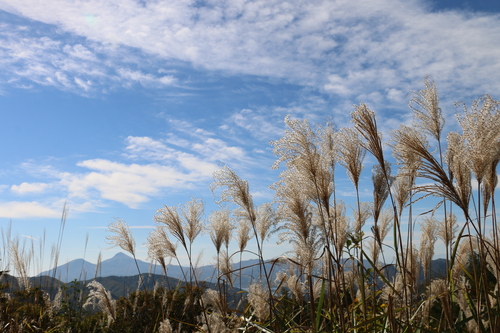 スカイバレー＆裏磐梯の秋景色・８_c0075701_20515633.jpg