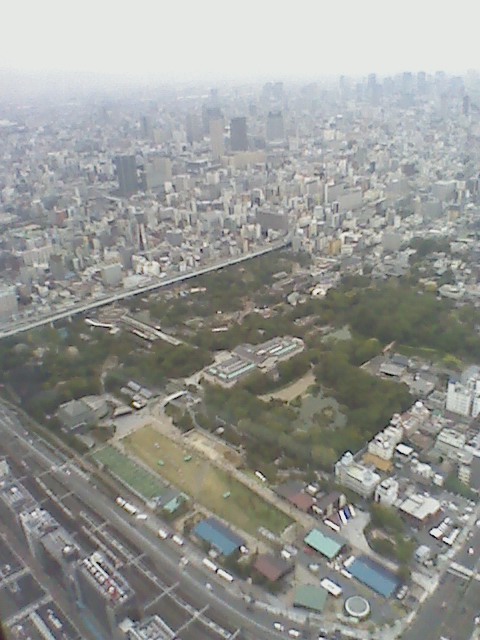 d0072904_1131321.jpg