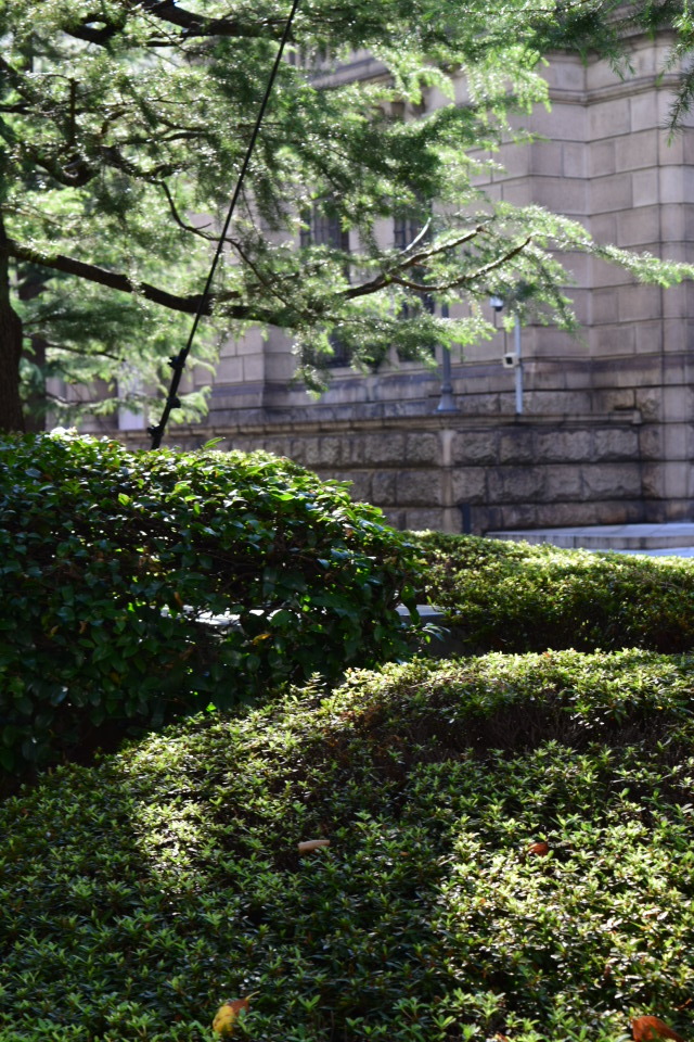 東京日本橋の日本銀行本店(建築家・関根要太郎関与作品研究)_f0142606_08021305.jpg