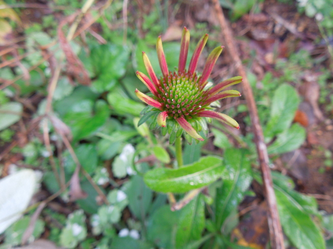 f0297809_23443244.jpg