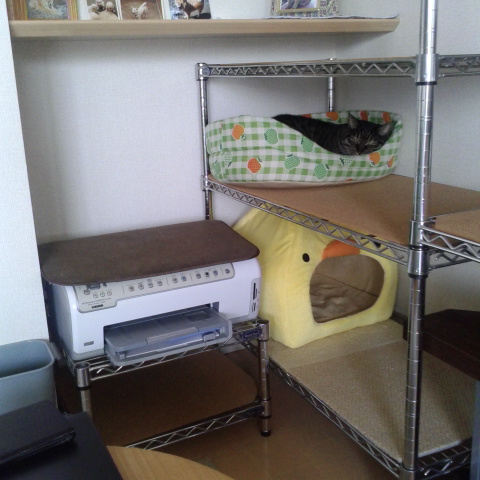 c0145016_229210.jpg
