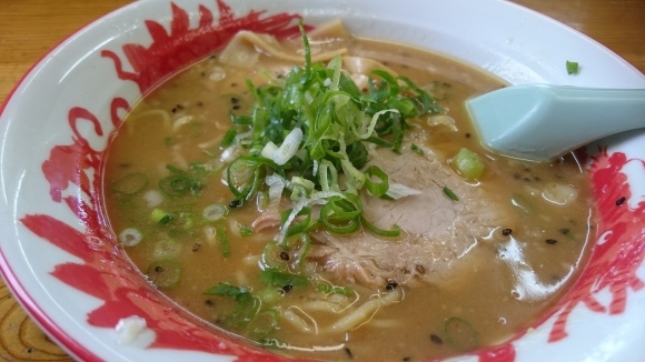 釣り三昧ブログより　休日は【麺】！！！　ラーメン大学⇒小浜でエギング編　～　メガネのノハラ　イオン洛南店　エギング　小浜　高島市　_c0221718_10182199.jpg