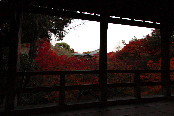 紅葉の東福寺 －臥雲橋・夕景－_b0169330_14435318.jpg