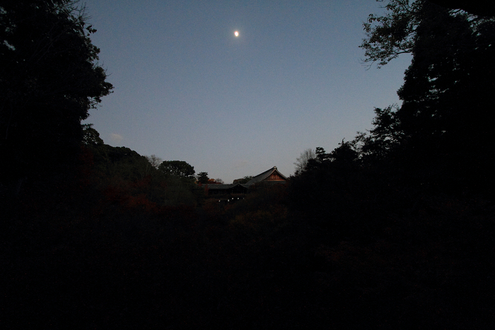 紅葉の東福寺 －臥雲橋・夕景－_b0169330_8224762.jpg