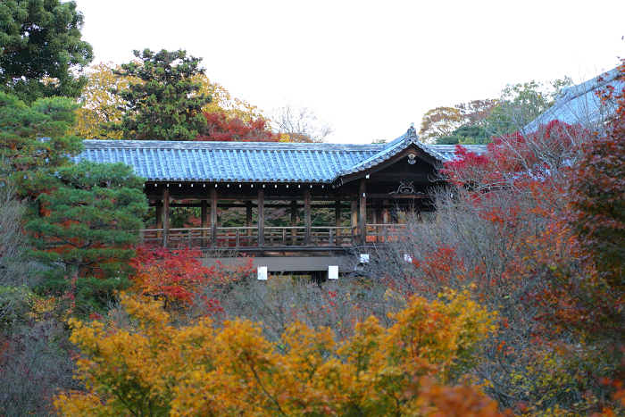 紅葉の東福寺 －臥雲橋・夕景－_b0169330_8232023.jpg