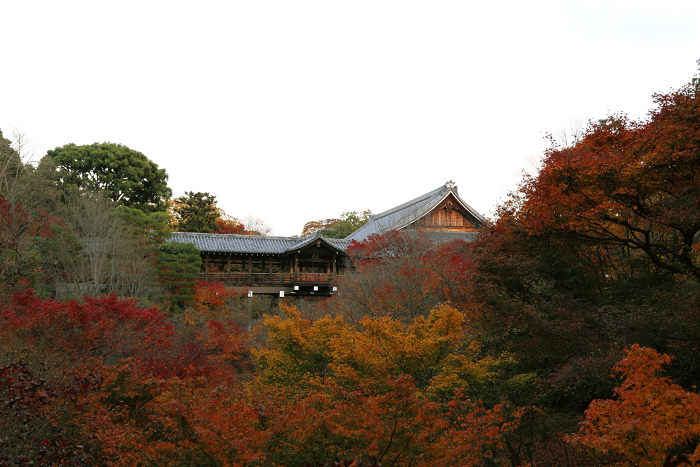 紅葉の東福寺 －臥雲橋・夕景－_b0169330_8233947.jpg