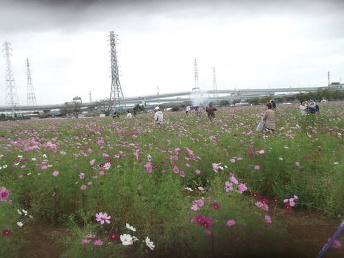 夢の日本シリーズ開幕_b0137932_1455236.jpg