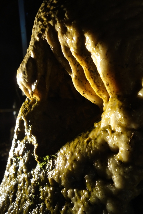 a0287336_193135100.jpg