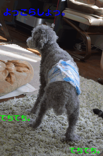 c0136736_15315322.gif