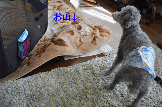 c0136736_15320141.gif