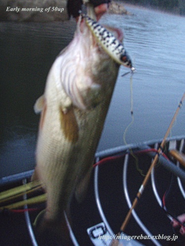 f0335637_14183913.jpg
