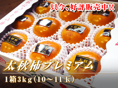 太秋柿 秋の果実の王様『太秋柿』が最旬を迎え大好評販売中!柿は体内のアルコール分解にも良いんです!_a0254656_16341734.jpg