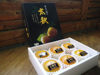 太秋柿 秋の果実の王様『太秋柿』が最旬を迎え大好評販売中!柿は体内のアルコール分解にも良いんです!_a0254656_1655451.jpg