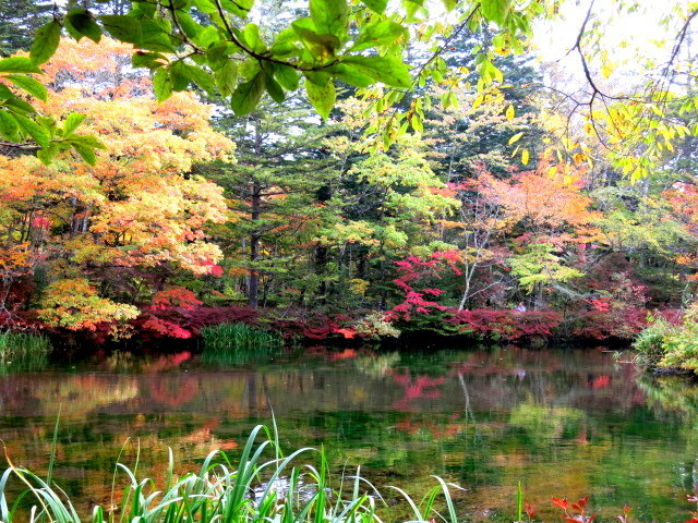 10月22日の雲場池＊軽井沢の紅葉速報・2016_f0236260_18390851.jpg