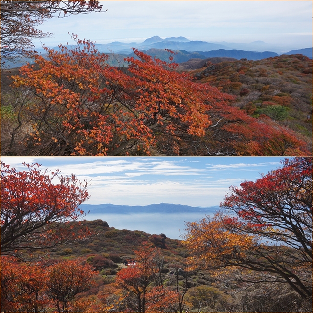 紅葉の大船へ・・・その２_f0016066_1051362.jpg