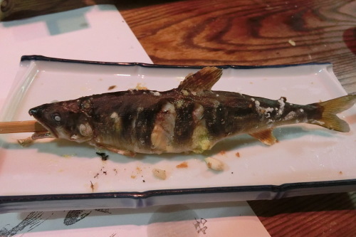 明日は休業です_b0332867_11512111.jpg