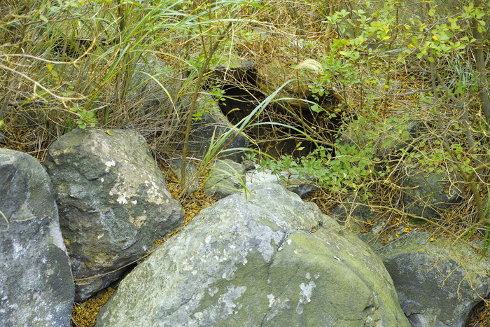 極上の硫黄泉 箱根の野湯へ_c0124076_22373190.jpg
