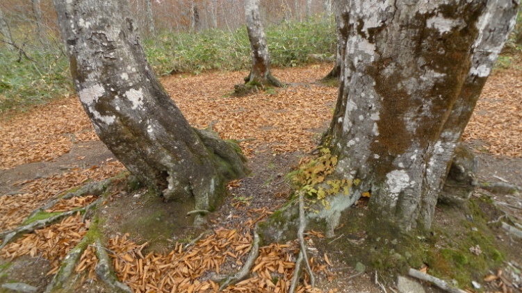 c0212083_16402783.jpg