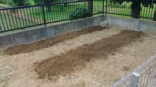 c0197684_15052012.jpg