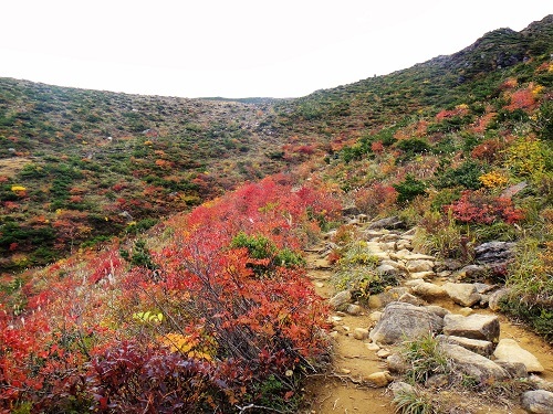 ２０１６年１０月１１日　東北遠征４座目　安達太良山_f0372285_12202572.jpg