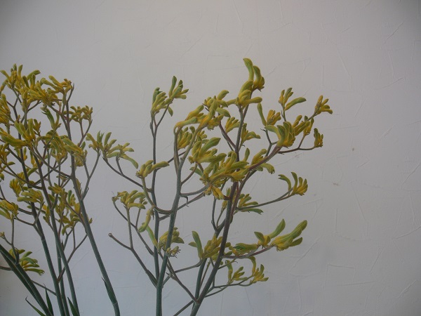 e0140986_1692646.jpg