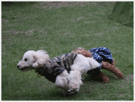b0175688_23411206.gif